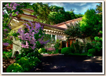 sycamore-mineral-springs