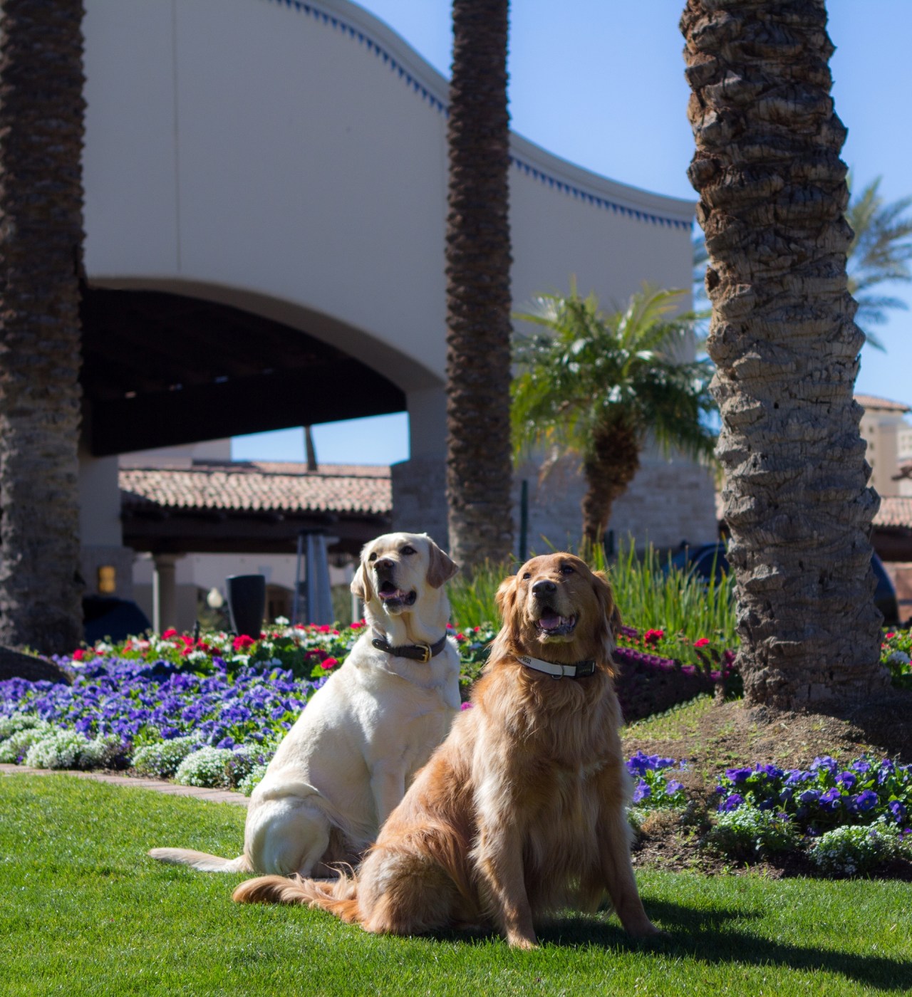 bixby-gibbs-front-of-hotel-cropped-med-rez
